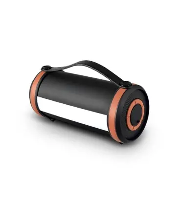اسپیکر بلوتوث Cigii S22 C Bluetooth Speaker