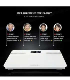 ترازو دیجیتال ریمکس مدل RT-S1