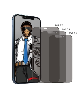 برچسب گلس پرای وی سی بلو Blueo Frosted Glass Privacy Iphone 12Pro Max