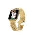 بند اپل واچ Green Mettalic Picolla for Apple Watch 49mm