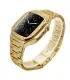 بند و کاور فلزی لاکچری اپل واچ 44/45 میلیمتری Case apple watch 45/44mm Luxury